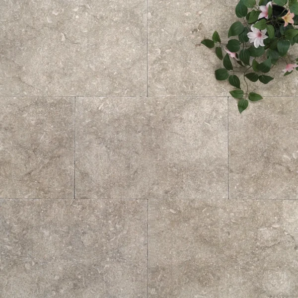 Seagrass Limestone