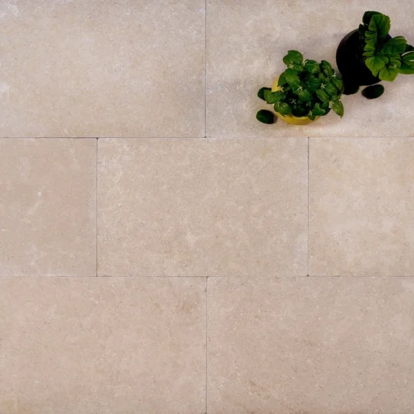 Avani Limestone